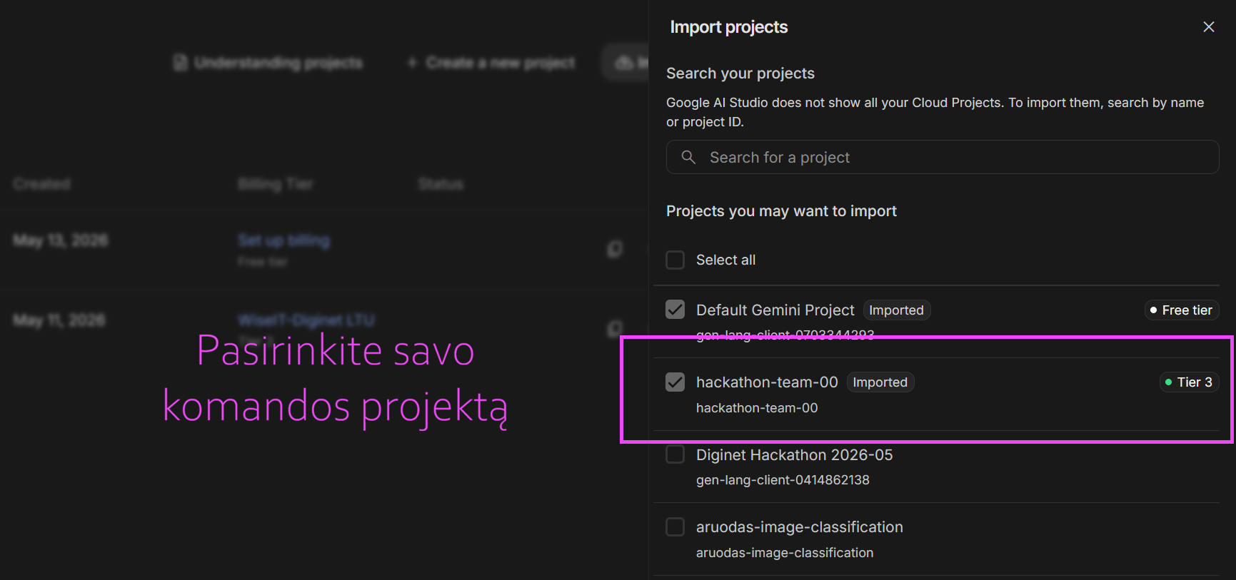 Importavimo dialogas su pasirinktu komandos projektu
