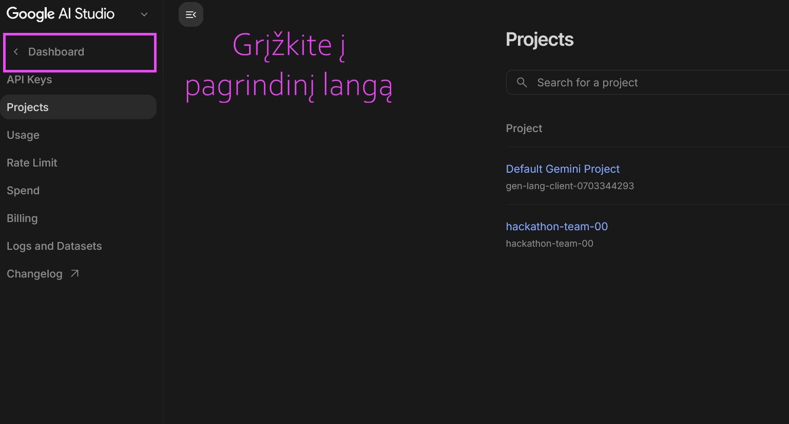 Dashboard su importuotu projektu